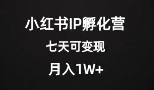 价值2000+的小红书IP孵化营项目，超级大蓝海，七天即可开始变现，稳定月入1W+-一号资源库