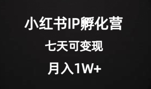 价值2000+的小红书IP孵化营项目，超级大蓝海，七天即可开始变现，稳定月入1W+-一号资源库