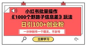 小红书批量操作《1000个野路子信息差》玩法，一分钟制作一个图文，不封号，日引100+创业粉-一号资源库