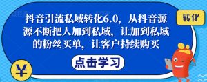 抖音引流私域转化6.0，从抖音源源不断把人加到私域，让加到私域的粉丝买单，让客户持续购买-一号资源库