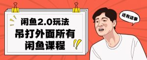 闲鱼2.0玩法单号每天日入2000，吊打市面所有课程-一号资源库