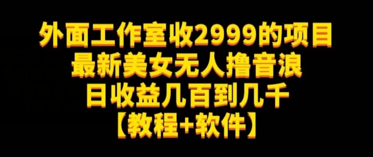 外面工作室收2999的项目最新美女无人撸音浪日收益几百到几千【教程+软件】（仅揭秘）-一号资源库