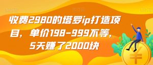 收费2980的塔罗ip打造项目，单价198-999不等，5天赚了2000块【揭秘】-一号资源库