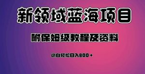 虚拟资源蓝海领域新项目，轻松日入800＋，附保姆级教程及资料-一号资源库