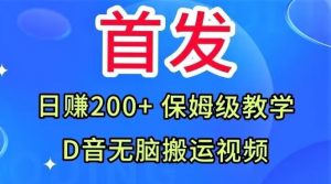 首发，抖音无脑搬运视频，日赚200+保姆级教学【揭秘】-一号资源库