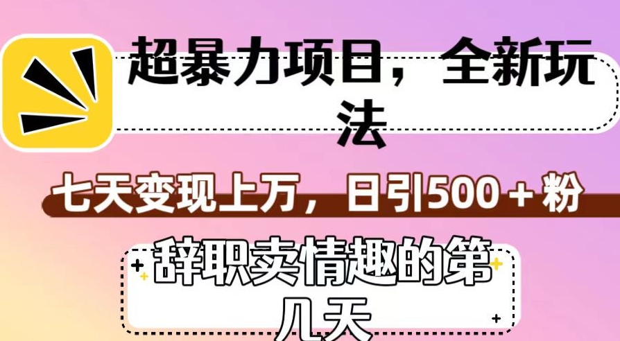 超暴利项目，全新玩法（辞职卖情趣的第几天），七天变现上万，日引500+粉【揭秘】-一号资源库