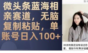 微头条蓝海相亲赛道，无脑复制粘贴，单账号日入100+-一号资源库