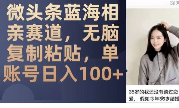 微头条蓝海相亲赛道，无脑复制粘贴，单账号日入100+-一号资源库