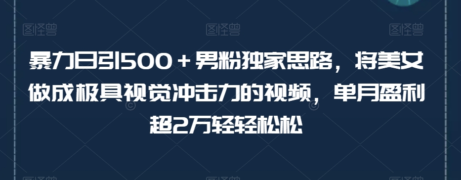 暴力日引500＋男粉独家思路，将美女做成极具视觉冲击力的视频，单月盈利超2万轻轻松松-一号资源库