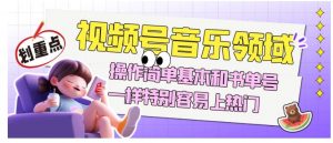 视频号音乐领域项目玩法，操作简单基本和书单号一样，特别容易上热门【揭秘】-一号资源库