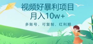 视频号暴利项目，多账号，可复制，红利期，月入10w+【揭秘】-一号资源库