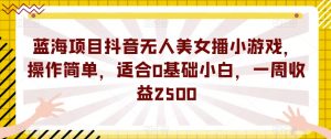 蓝海项目抖音无人美女播小游戏，操作简单，适合0基础小白，一周收益2500【揭秘】-一号资源库
