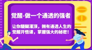 觉醒-做一个通透的强者,让你醍醐灌顶,拥有通透人生的觉醒开悟课,掌握强大的秘密!-一号资源库