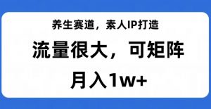 养生赛道，素人IP打造，流量很大，可矩阵，月入1w+【揭秘】-一号资源库