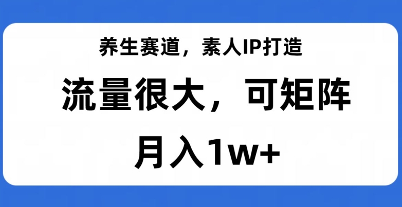 养生赛道，素人IP打造，流量很大，可矩阵，月入1w+【揭秘】-一号资源库