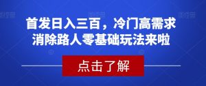首发日入三百，冷门高需求消除路人零基础玩法来啦【揭秘】-一号资源库