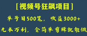 日收款500笔，纯利润3000+，视频号狂飙项目，会简单剪辑就能做【揭秘】-一号资源库