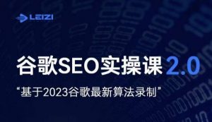 雷子·谷歌SEO 2.0实战课，独立站询盘自由必备，基于2023谷歌最新算法录制-一号资源库