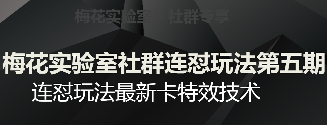 梅花实验室社群连怼玩法第五期，视频号连怼玩法最新卡特效技术-一号资源库
