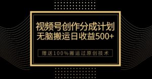 最新视频号创作分成计划，无脑搬运一天收益500+，100%搬运过原创技巧【揭秘】-一号资源库