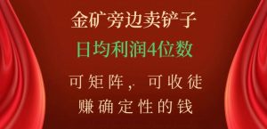 金矿旁边卖铲子，赚确定性的钱，可矩阵，可收徒，日均利润4位数【揭秘】-一号资源库