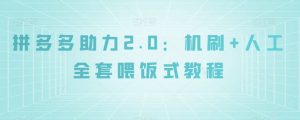 拼多多助力2.0：机刷+人工全套喂饭式教程【揭秘】-一号资源库