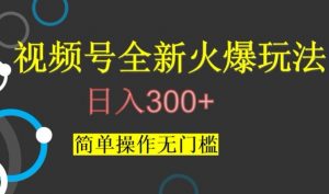 视频号最新爆火玩法，日入300+，简单操作无门槛【揭秘】-一号资源库