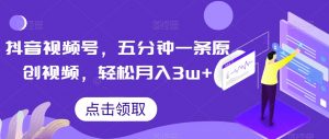 抖音视频号，五分钟一条原创视频，轻松月入3w+【独家秘诀，传授赚钱方法】【揭秘】-一号资源库