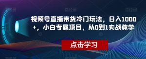 视频号直播带货冷门玩法，日入1000+，小白专属项目，从0到1实战教学【揭秘】-一号资源库