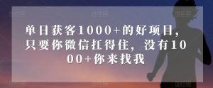 单日获客1000+的好项目，只要你微信扛得住，没有1000+你来找我【揭秘】-一号资源库