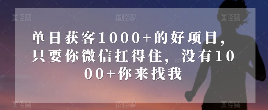 单日获客1000+的好项目，只要你微信扛得住，没有1000+你来找我【揭秘】-一号资源库