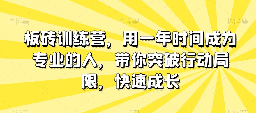 板砖训练营，用一年时间成为专业的人，带你突破行动局限，快速成长-一号资源库