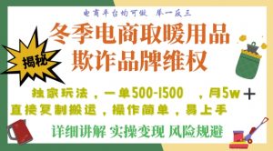 利用电商平台冬季销售取暖用品欺诈行为合理制裁店铺，单日入900+【仅揭秘】-一号资源库