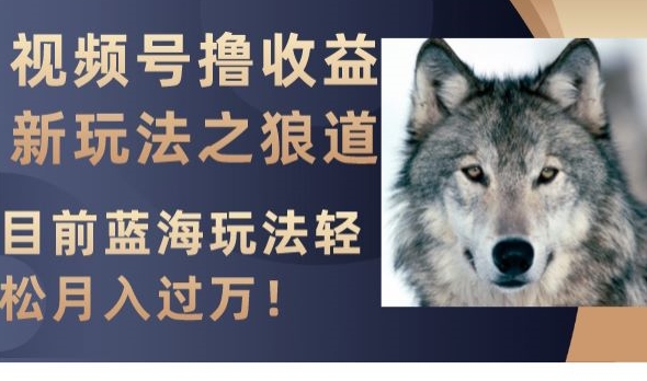 视频号撸收益新玩法之狼道，目前蓝海玩法，轻松月入过万【揭秘】-一号资源库