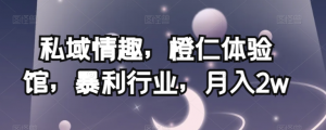 私域情趣，橙仁体验馆，暴利行业，月入2w【揭秘】-一号资源库