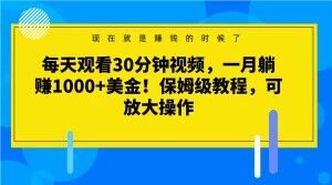 每天观看30分钟视频，一月躺赚1000+美金！保姆级教程，可放大操作【揭秘】-一号资源库
