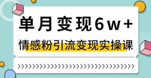 单月变现6W+，抖音情感粉引流变现实操课，小白可做，轻松上手，独家赛道【揭秘】-一号资源库
