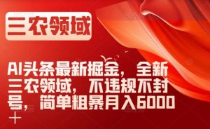 AI头条最新掘金，全新三农领域，不违规不封号，简单粗暴月入6000＋【揭秘】-一号资源库