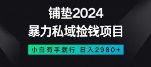 暴力私域捡钱项目,小白无脑操作,日入2980【揭秘】-一号资源库