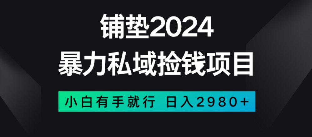 暴力私域捡钱项目，小白无脑操作，日入2980【揭秘】-一号资源库