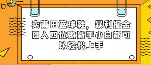 卖莆田篮球鞋，暴利掘金日入四位数新手小白都可以轻松上手【揭秘】-一号资源库