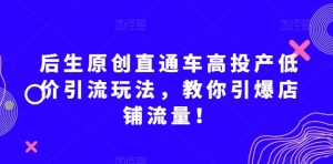 后生原创直通车高投产低价引流玩法，教你引爆店铺流量！-一号资源库