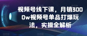 视频号线下课，月销3000w视频号单品打爆玩法，实操全解析-一号资源库