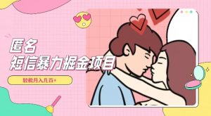 全网首发，揭秘超冷门匿名短信项目，通过信息差日入几百+【揭秘】-一号资源库