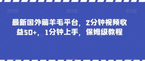 最新国外薅羊毛平台，2分钟视频收益50+，1分钟上手，保姆级教程【揭秘】-一号资源库