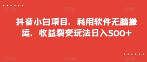 抖音小白项目，利用软件无脑搬运，收益裂变玩法日入500+【揭秘】-一号资源库