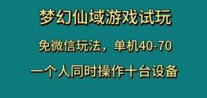梦幻仙域游戏试玩,免微信玩法,单机40-70,一个人同时操作十台设备【揭秘】-一号资源库
