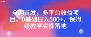 全网首发，多平台收益项目，0基础日入500+，保姆级教学实操落地【揭秘】-一号资源库