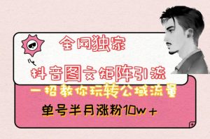 全网独家抖音图文矩阵引流，一招教你玩转公域流量，单号半月涨粉10w+【揭秘】-一号资源库