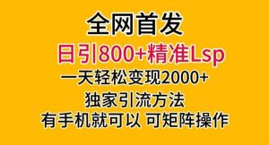 全网首发！日引800+精准老色批，一天变现2000+，独家引流方法，可矩阵操作【揭秘】-一号资源库
